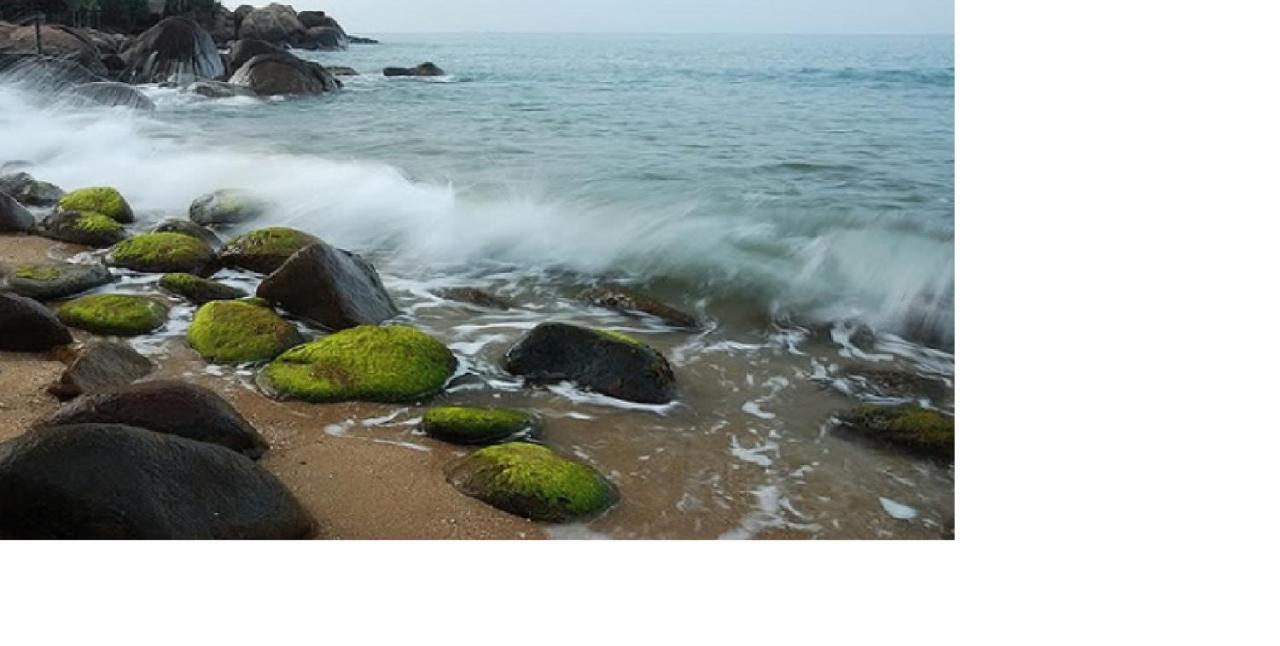 Da Nang Minh Hai Kültér fotó