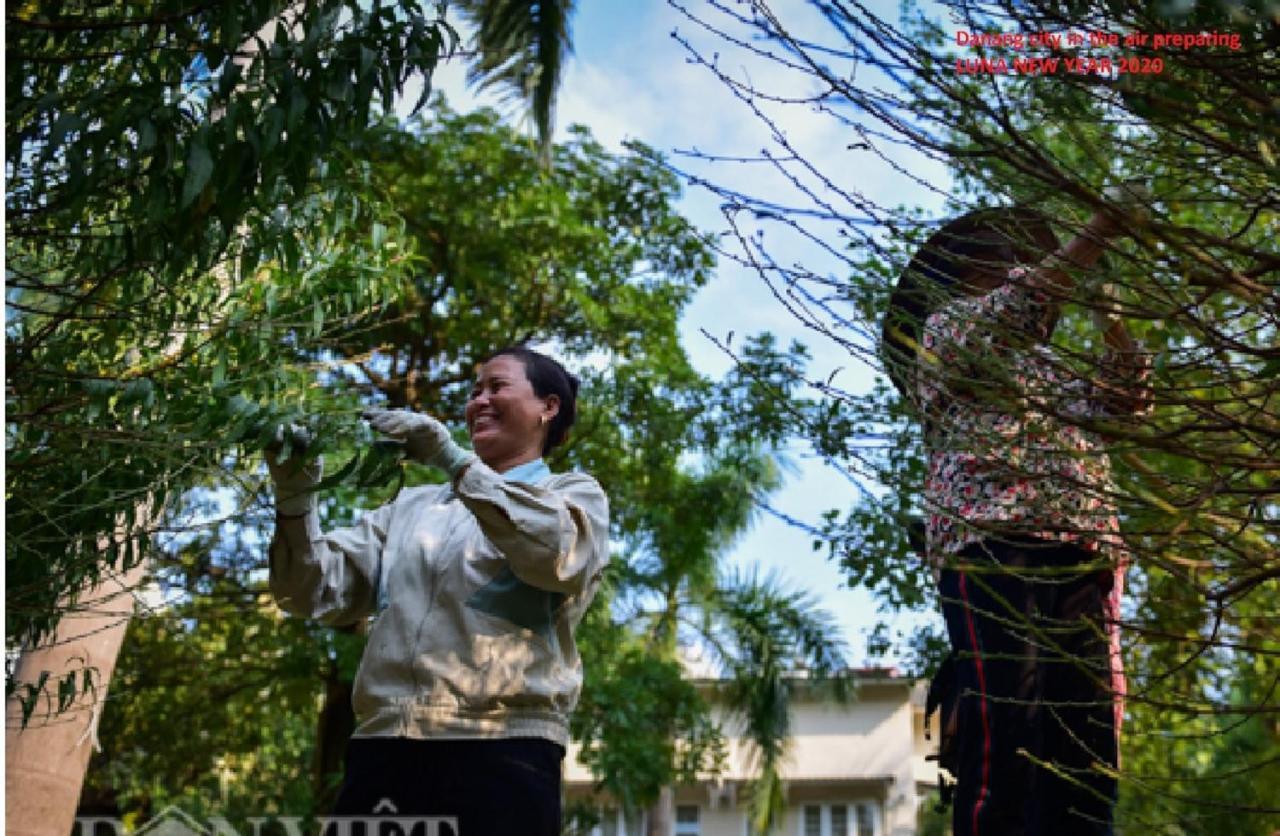 Da Nang Minh Hai Kültér fotó